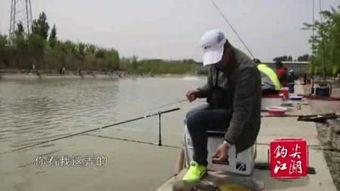 钓鱼野钓视频,跟随视频探寻钓鱼乐趣与技巧