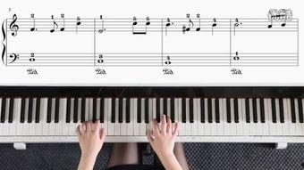 钢琴曲教学视频,轻松入门，掌握经典曲目演奏技巧