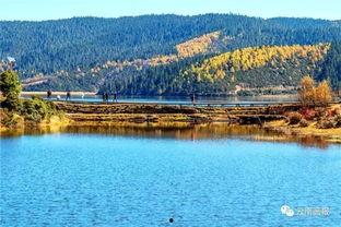 香格里拉视频,探寻神秘高原的美丽画卷