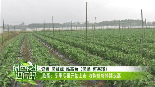 江西今日瓜菜价格行情,涨跌互现，市民菜篮子受影响