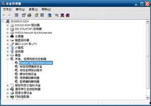 为什么视频没声音,揭秘无声视频背后的原因