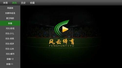风云视频下载,轻松获取海量影视资源攻略