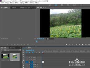 视频设计制作,探索创意与技术的完美融合
