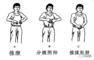推腹视频,视频教程带你体验健康生活新方式
