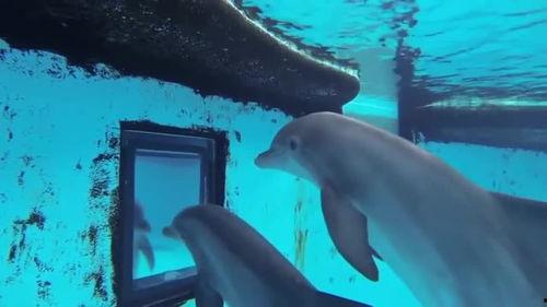 日常视频,视频中的生活剪影