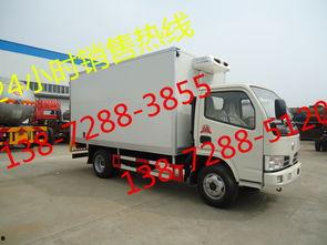 冷藏车视频,高效冷链物流背后的科技力量