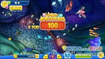 捕鱼达人视频,畅游海洋，挑战极限的捕鱼之旅