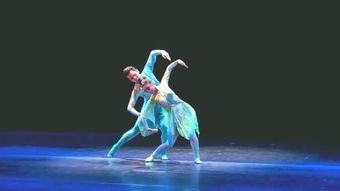 双人舞蹈视频,双人舞蹈视频魅力解析