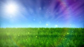 青青草原在线播放视频,青青草原在线视频精彩回顾