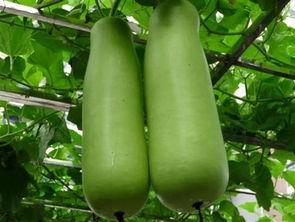 南充吃瓜爆料公司地址,地址曝光，带你一探究竟