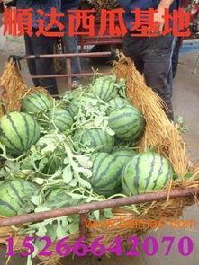 南充吃瓜爆料公司地址,地址曝光，带你一探究竟