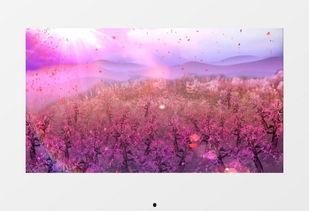 桃花视频素材,桃花视频素材精选回顾