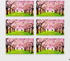 桃花视频素材,桃花视频素材精选回顾