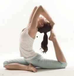 初级瑜伽教程视频,轻松入门，享受身心和谐之旅