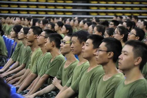 军事讲座视频,战略战术深度解析