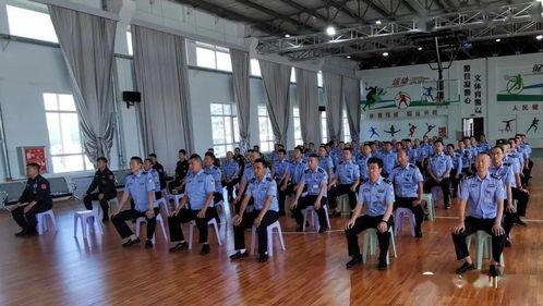 军事讲座视频,战略战术深度解析