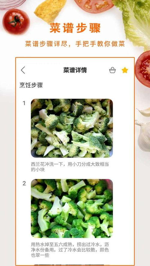 做菜视频下载,跟随美食视频轻松掌握家常菜制作技巧