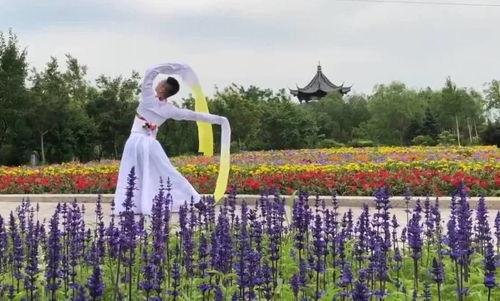 舞蹈卓玛视频,探寻藏舞之美