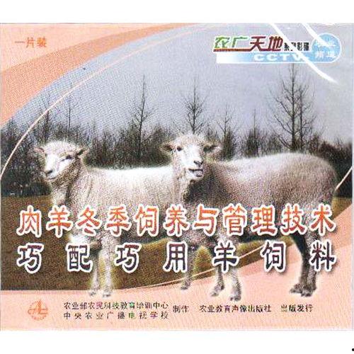 羊配羊视频,一场跨越物种的浪漫邂逅