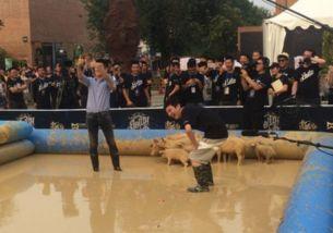 抓猪视频,一场抓猪视频引发的视觉盛宴