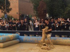 抓猪视频,一场抓猪视频引发的视觉盛宴