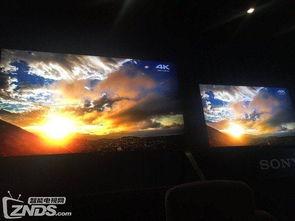 8k视频下载,极致画质体验尽在掌握