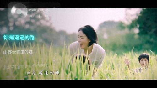 如愿视频,揭秘梦想成真的奥秘