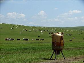 呼伦贝尔视频,壮美风光与民族风情之旅