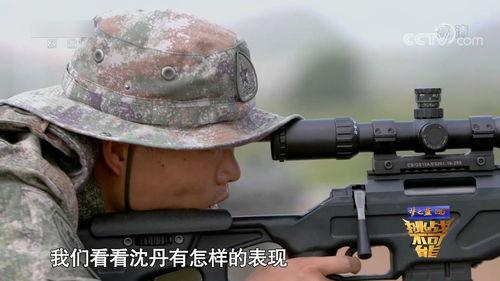 双枪视频,惊心动魄的视觉盛宴