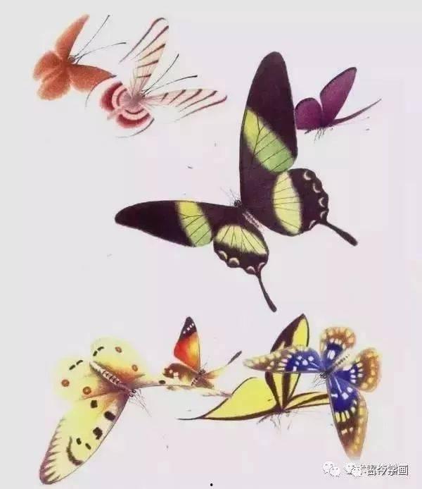 画蝴蝶的视频,跟随视频探索蝴蝶之美