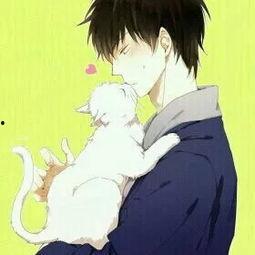 男男视频动漫,男男视频动漫中的浪漫冒险之旅