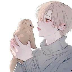 男男视频动漫,男男视频动漫中的浪漫冒险之旅