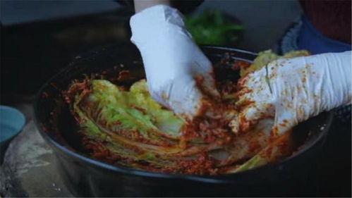 腌酸菜的视频,传统美味，简单易学！