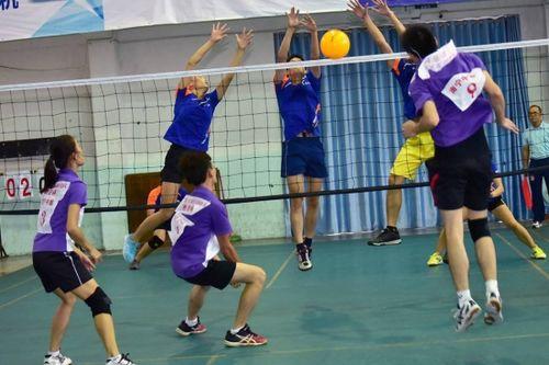 气排球规则视频教程,视频教程精华概述