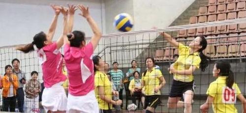 气排球规则视频教程,视频教程精华概述