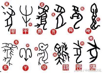 象形字视频,视频中的汉字奥秘之旅