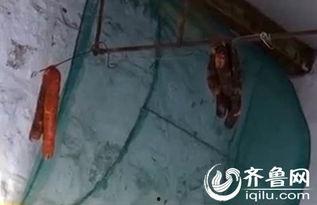 大香肠视频,揭秘美食背后的故事与魅力