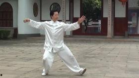 42式太极拳分解教学视频,循序渐进，掌握太极拳精髓