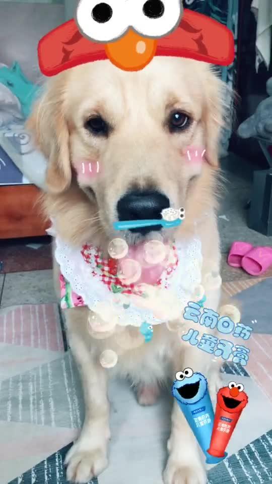 刷牙儿童视频,趣味视频教你正确刷牙方法