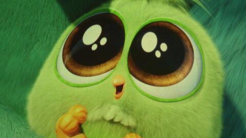 剪头发搞笑视频,顾客笑到肚子疼！