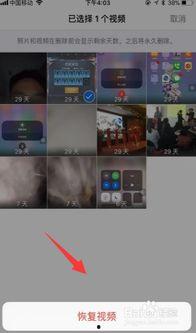 苹果删除视频,苹果手机删除视频后的恢复攻略揭秘