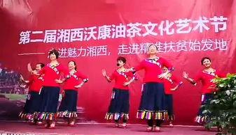 春舞蹈视频,跟随视频领略古典美韵