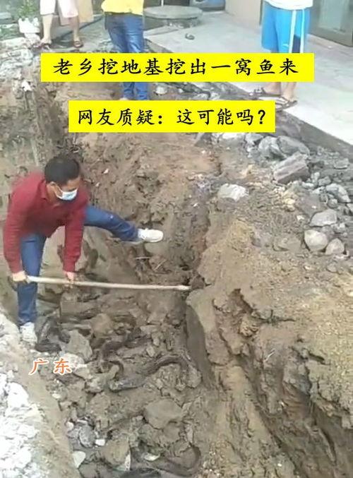 挖地基视频,一窥建筑基石的诞生