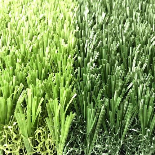 在线视频青草,探寻自然之美，感受生命律动