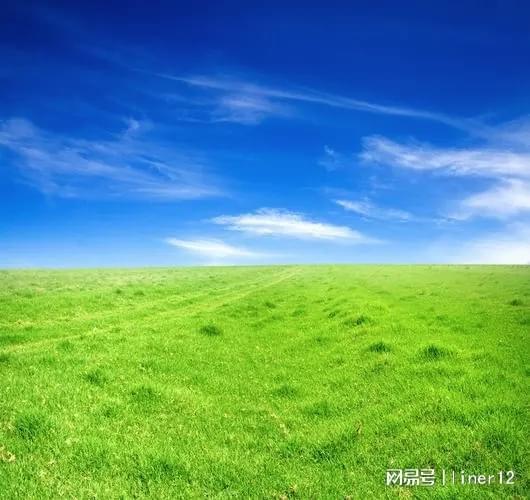 在线视频青草,探寻自然之美，感受生命律动