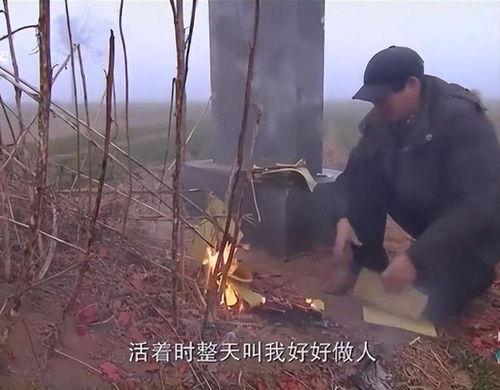 上坟视频,缅怀先人，传承文化