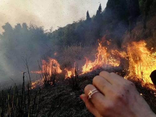 上坟视频,缅怀先人，传承文化