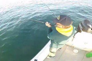 外国钓鱼视频,一场视觉盛宴与智慧较量