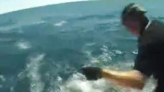 外国钓鱼视频,一场视觉盛宴与智慧较量