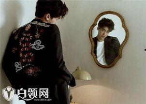 87在线观看视频在线,揭秘热门影视背后的精彩故事